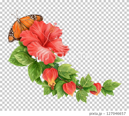 Hibiscus flower with abuchiron and Monarch butterfly summer arrangement. Hand drawn watercolor art with leaf. Vacation graphic element. Perfect for summer card template and holiday season design. Hibiscus flower with abuchiron and Monarch butterfly summer arrangement. Hand drawn watercolor art with leaf. Vacation graphic element. Perfect for summer card template and holiday season design. 127046657