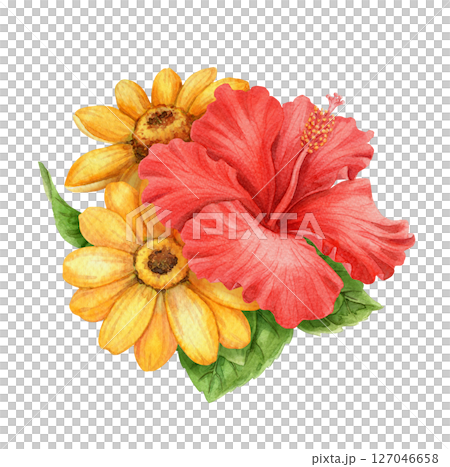 Red Hibiscus flower and sunflower small bouquet summer arrangement. Hand drawn watercolor art with floral and leaf. Vacation vibe graphic element. Perfect for card template and holiday season design. 127046658