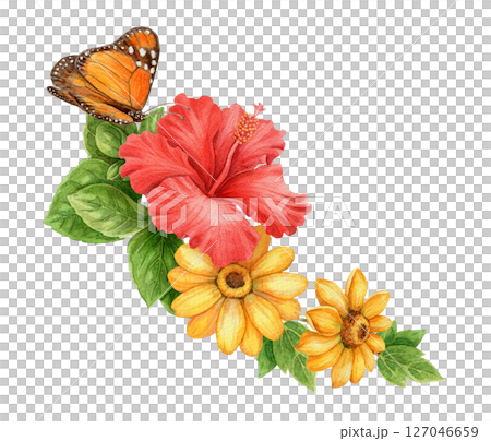 Hibiscus flower with sunflower and Monarch butterfly summer arrangement. Hand drawn watercolor art with leaf. Vacation graphic element. Perfect for summer card template and holiday season design. 127046659