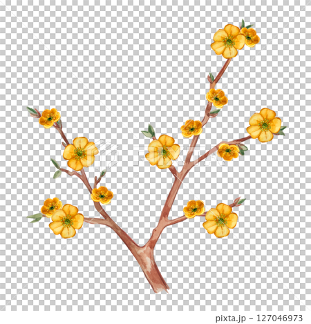 Blooming fantasy tree with yellow flowers, all objects are hand-painted with watercolor and isolated on a white background. Watercolor illustration. Suitable for printing on fabric, paper, cards. Blooming fantasy tree with yellow flowers, all objects are hand-painted with watercolor and isolated on a white background. Watercolor illustration. Suitable for printing on fabric, paper, cards. 127046973