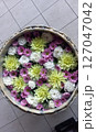 水に浮かぶ花 127047042