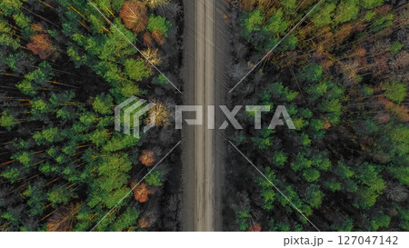 aerial view of a road in the forest 127047142