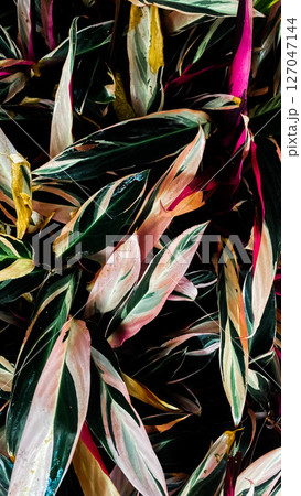 watercolor painting of leaf and flowers pattern 127047144