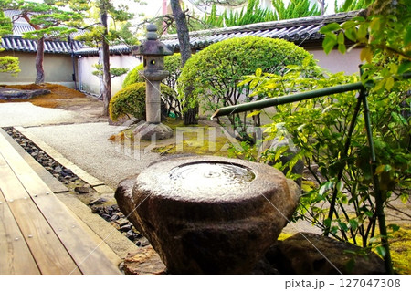 京都府　東寺 観智院・手水鉢 蹲踞　京都市 南区 九条町　2022年2月 127047308