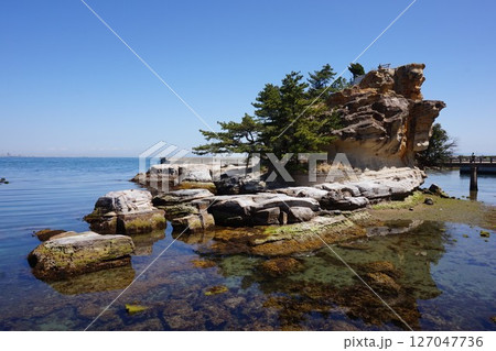 淡路島 絵島 2021年4月 淡路島 絵島 2021年4月 127047736