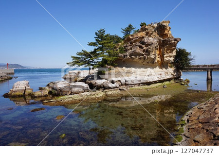 淡路島 絵島 2021年4月 淡路島 絵島 2021年4月 127047737