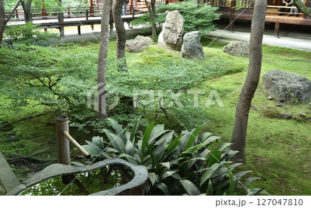 大本山建仁寺 方丈中庭 潮音庭(京都市東山区) 大本山建仁寺 方丈中庭 潮音庭(京都市東山区) 127047810