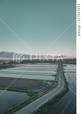 湛水された水田と朝日を浴びる北アルプス【安曇野】 湛水された水田と朝日を浴びる北アルプス【安曇野】 127047855