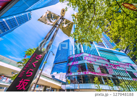 日本の東京都市景観6月7日 渋谷駅前。緑溢れるさくら坂や渋谷スクランブルスクエアなどを望む 日本の東京都市景観6月7日 渋谷駅前。緑溢れるさくら坂や渋谷スクランブルスクエアなどを望む 127048188