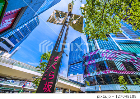 日本の東京都市景観6月7日 渋谷駅前。緑溢れるさくら坂や渋谷スクランブルスクエアなどを望む 日本の東京都市景観6月7日 渋谷駅前。緑溢れるさくら坂や渋谷スクランブルスクエアなどを望む 127048189