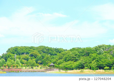 愛知県尾張旭市、維摩池の風景 127048204