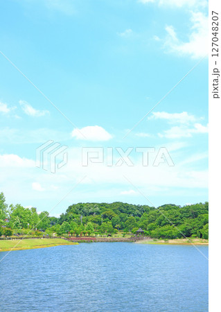 愛知県尾張旭市、維摩池の風景 127048207