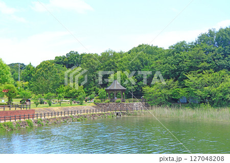 愛知県尾張旭市、維摩池の風景 127048208