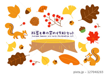 紅葉と秋の木の実のイラストセット 127048283