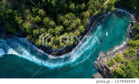 Aerial View of Tropical Coastline with Turquoise Water 127049504