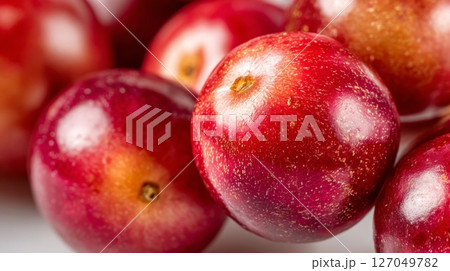 Closeup of Shiny Red Berries 127049782
