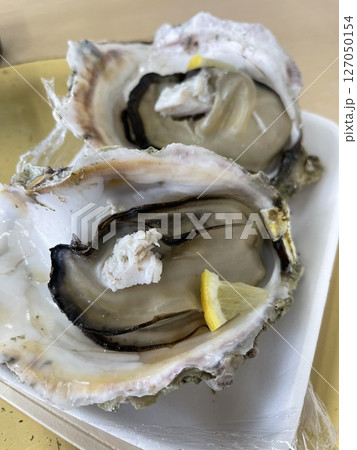 蒸した牡蠣 127050154