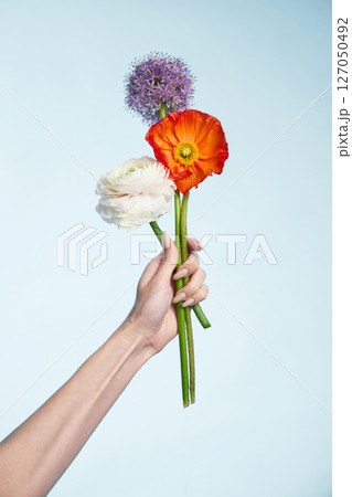 Brightly colored flowers held delicately against a pale background Brightly colored flowers held delicately against a pale background 127050492