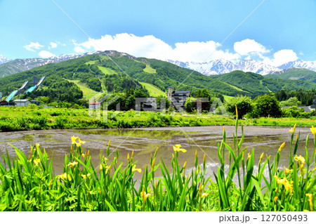 白馬村の風景／白馬八方尾根スキー場方面を望む(長野県白馬村)【2025.6】 127050493
