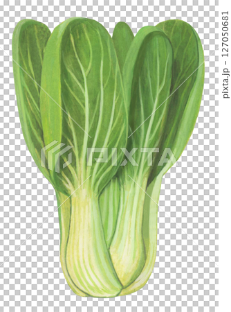 Chingen綠黨的插圖 Chingen綠黨的插圖 127050681