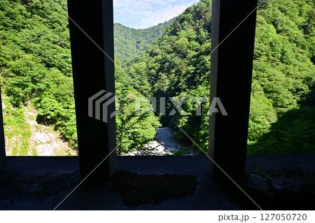 神奈川県の秘境　新緑のユーシン渓谷 127050720