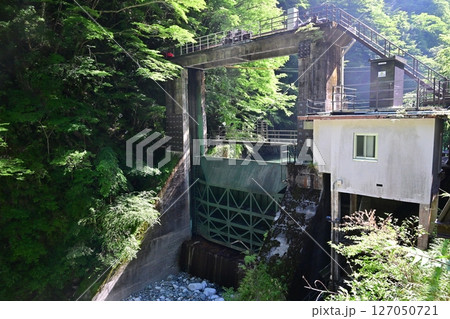 神奈川県の秘境 新緑のユーシン渓谷 神奈川県の秘境 新緑のユーシン渓谷 127050721