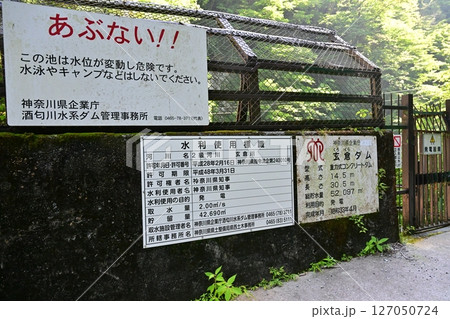 神奈川県の秘境　新緑のユーシン渓谷 127050724