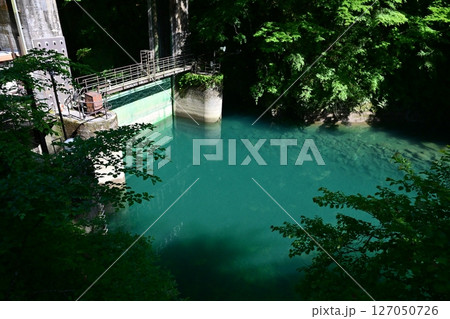 神奈川県の秘境 新緑のユーシン渓谷 神奈川県の秘境 新緑のユーシン渓谷 127050726