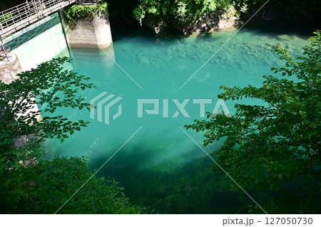 神奈川県の秘境 新緑のユーシン渓谷 神奈川県の秘境 新緑のユーシン渓谷 127050730