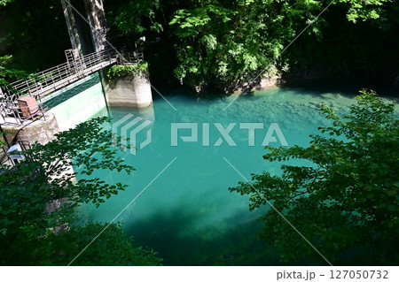 神奈川県の秘境 新緑のユーシン渓谷 神奈川県の秘境 新緑のユーシン渓谷 127050732