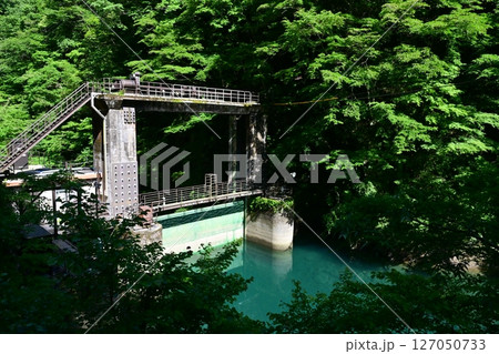 神奈川県の秘境 新緑のユーシン渓谷 神奈川県の秘境 新緑のユーシン渓谷 127050733