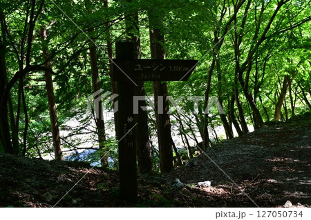 神奈川県の秘境 新緑のユーシン渓谷 神奈川県の秘境 新緑のユーシン渓谷 127050734