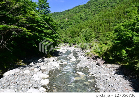 神奈川県の秘境　新緑のユーシン渓谷 127050736