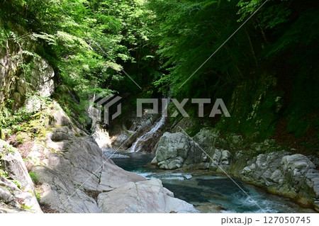 神奈川県の秘境 新緑のユーシン渓谷 神奈川県の秘境 新緑のユーシン渓谷 127050745