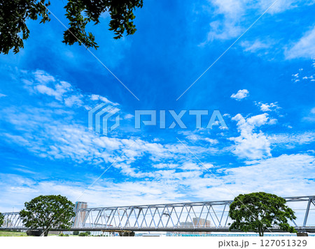 6月初夏の小岩江戸川河川敷の新緑 127051329