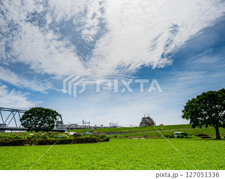 6月初夏の小岩江戸川河川敷の新緑 6月初夏の小岩江戸川河川敷の新緑 127051336