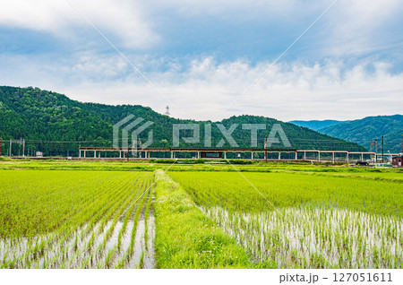 北陸本線余呉駅と水田風景 滋賀県長浜市余呉町 北陸本線余呉駅と水田風景 滋賀県長浜市余呉町 127051611