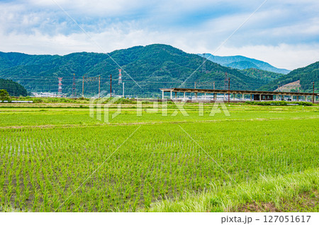 北陸本線余呉駅と水田風景　滋賀県長浜市余呉町 127051617