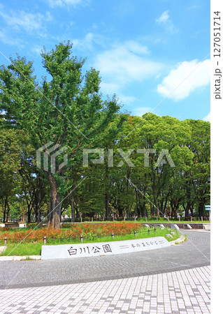 愛知県名古屋市、自然豊かな白川公園の風景 127051714