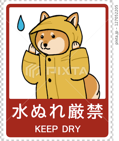 柴犬請求不要被淋濕的插圖 127052205