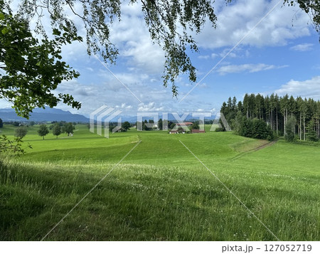 Large field of grass with a red barn in the distance 127052719