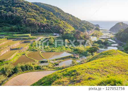 (長崎県)春日集落にある海の見える棚田(長崎と天草地方の潜伏キリシタン関連遺産) (長崎県)春日集落にある海の見える棚田(長崎と天草地方の潜伏キリシタン関連遺産) 127052756