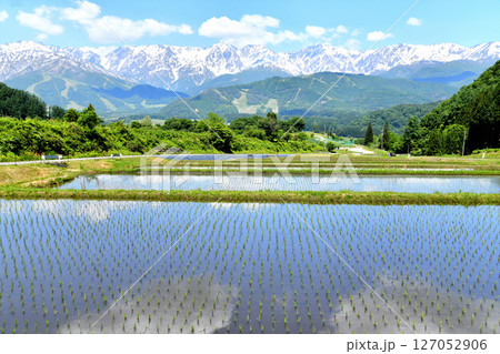 長野県白馬村野平地区より八方尾根、白馬三山方面を望む(長野県白馬村)【2025.6】 長野県白馬村野平地区より八方尾根、白馬三山方面を望む(長野県白馬村)【2025.6】 127052906
