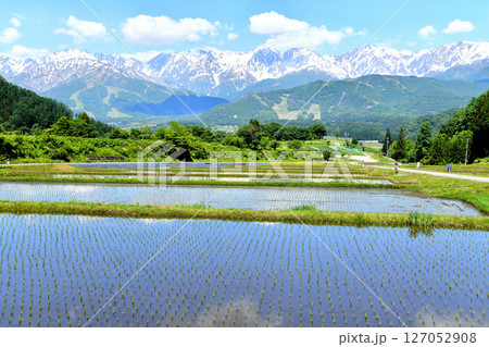 長野県白馬村野平地区より八方尾根、白馬三山方面を望む(長野県白馬村)【2025.6】 127052908