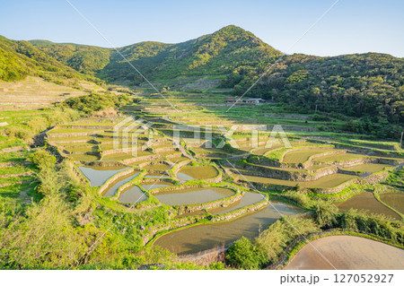 (長崎県)春日集落にある海沿いの棚田(長崎と天草地方の潜伏キリシタン関連遺産) (長崎県)春日集落にある海沿いの棚田(長崎と天草地方の潜伏キリシタン関連遺産) 127052927