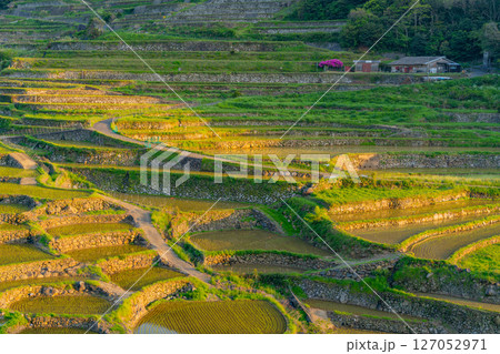 （長崎県）春日集落の棚田（長崎と天草地方の潜伏キリシタン関連遺産） 127052971