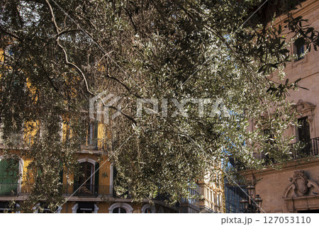 スペインバルセロナ付近にあるマヨルカ島のきれいな街並み 127053110