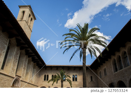 スペインバルセロナの近くのマヨルカ島の風景 スペインバルセロナの近くのマヨルカ島の風景 127053324
