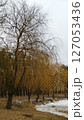 Trees without leaves in autumn forest against blue sky 127053436