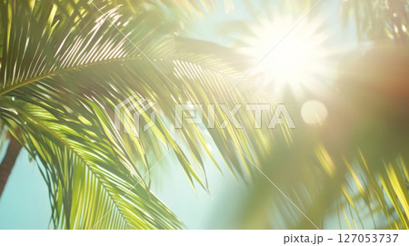 Beautiful blurred background with palm leaves and bright sunlight 127053737